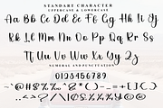 Soulmate Handwriting, a Handwritten Font by FreshTypeINK (Thumbnail 5 of 8)