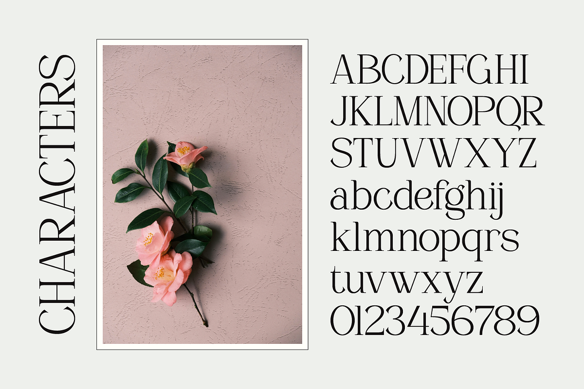 Mandreling, a Serif Font by Zaloma Studio (Photo 13 of 15)