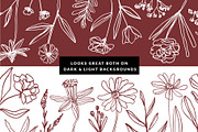 Elegant Botanicals | 100% Hand drawn, a Decorative Illustration by Olia (Thumbnail 12 of 14)
