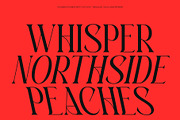 CS March – Modern Display Font, a Serif Font by Craft Supply Co. (Thumbnail 3 of 8)