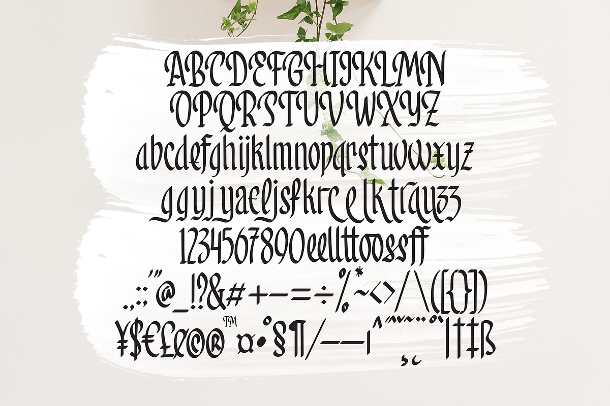 Rosemary - Elegant And Beauty Font, a Symbol Font by AQR Studio (Photo 8 of 10)