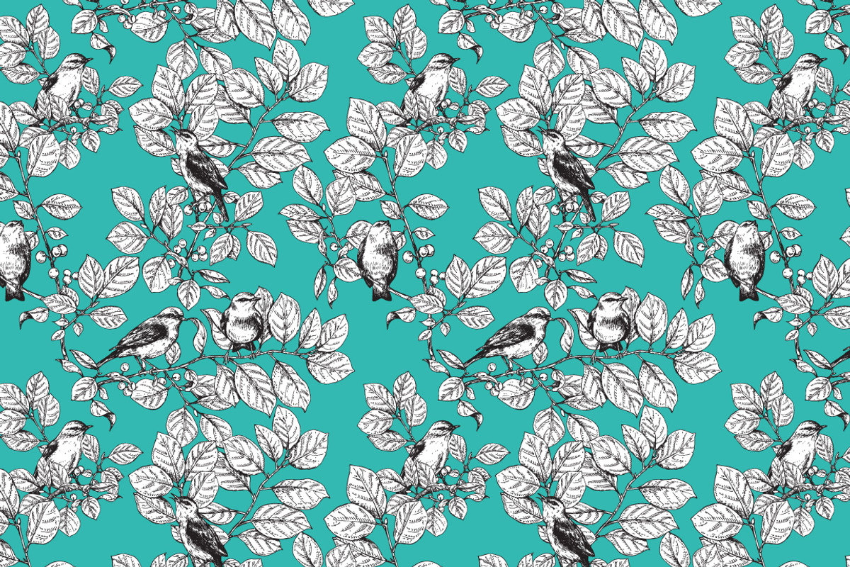 Birds on Branches Sketch, a Decorative Illustration by Valentyna Smordova (Photo 9 of 9)