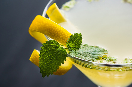Yellow martini cocktail with lemon stock photo containing lemonade and yellow, a Food & Drink Photo by Mindstyle