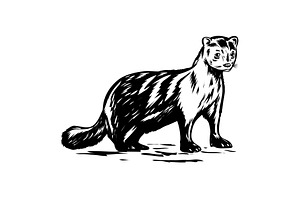 American Mink Side Woodcut Style, an Illustration by patrimonio