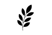 Botanical Leaf Silhouette Bundle, an Illustration by Creativeshirt (Thumbnail 36 of 51)