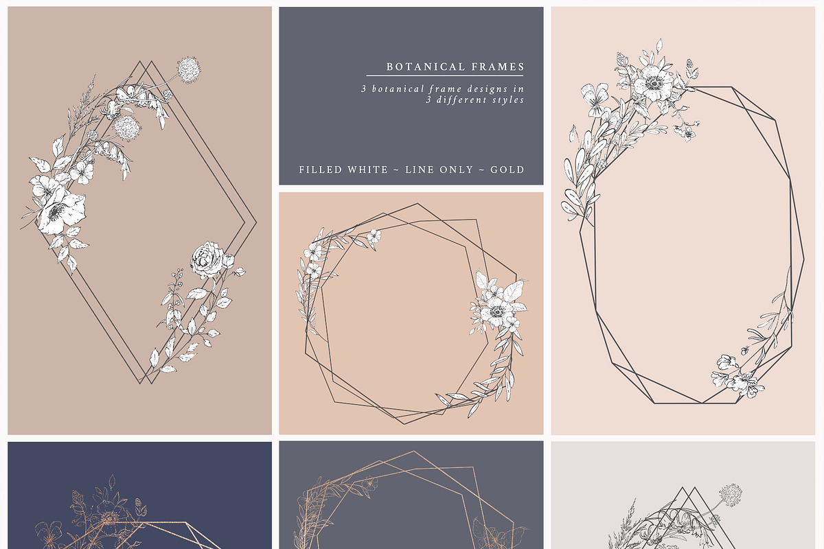 Botanical Graphic Collection, an Illustration by Twigs and Twine (Photo 6 of 10)