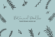 Hand Drawn Botanical Doodles, an Illustration by Meagan Apperson (Thumbnail 1 of 3)