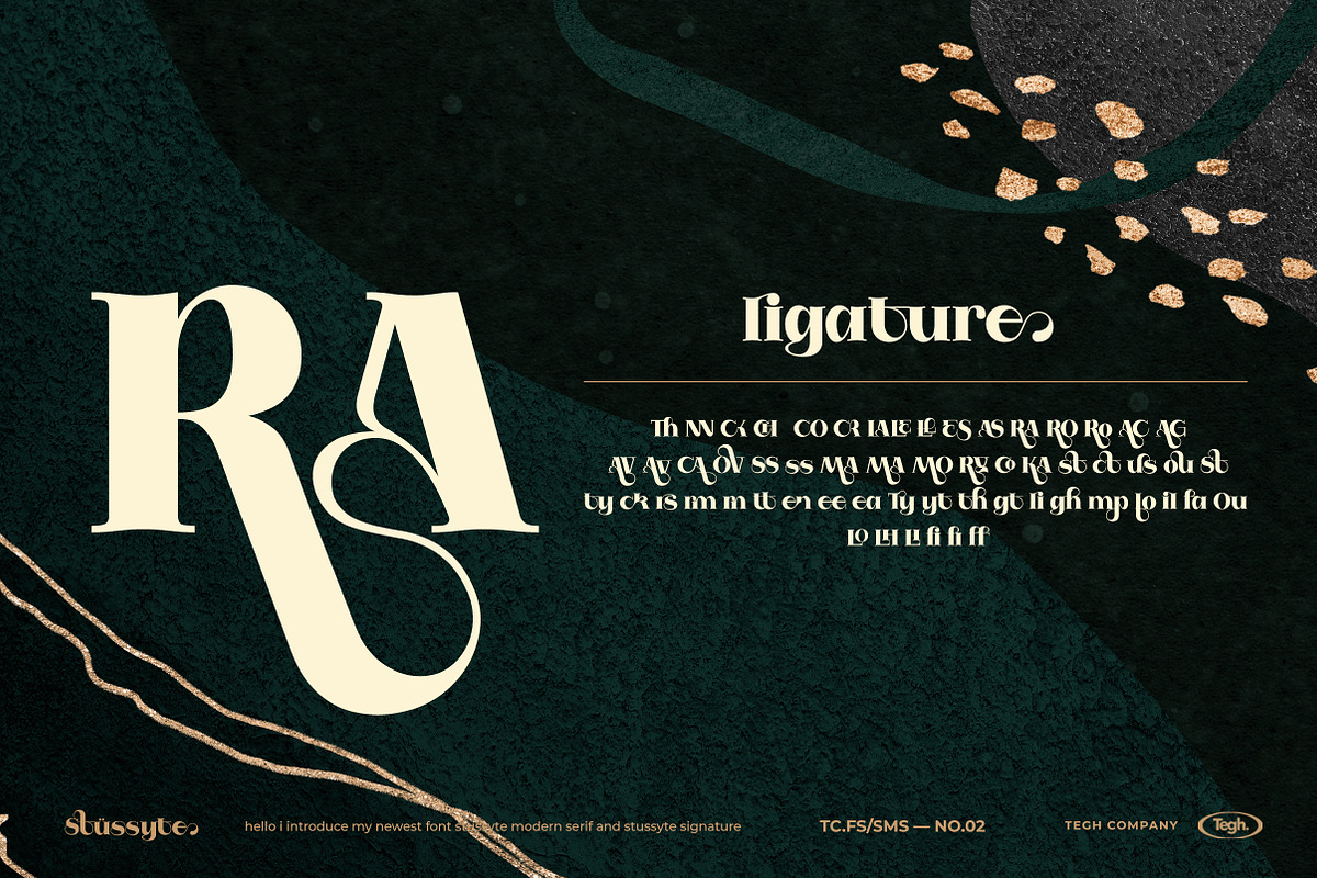 Stussyte Font Duo, a Serif Font by Tegh co. (Photo 8 of 15)