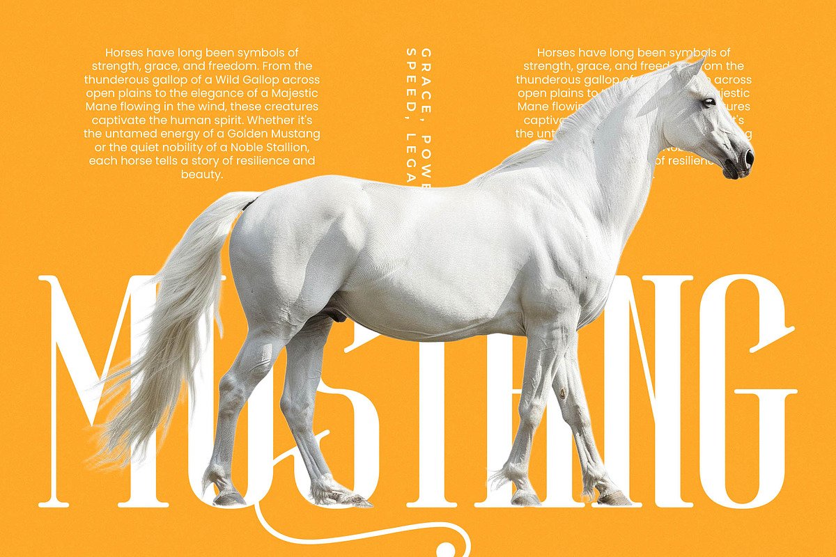 Winstgue Modern Vintage Serif, a Serif Font by timelesstype.co (Photo 13 of 20)
