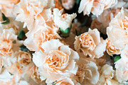 Modern Blush Wedding Bundle, a Print Template by LaPorte Images (Thumbnail 14 of 15)