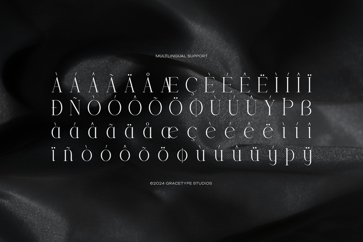 Trailogen | Display Serif Font, a Serif Font by gracetype_studio (Photo 12 of 12)