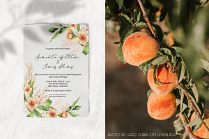 Watercolor Peach Collection