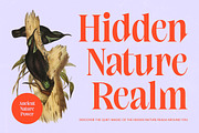 Elinkos Bold Tall Serif, a Serif Font by timelesstype.co (Thumbnail 9 of 10)