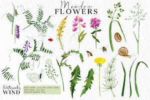 Wild Floral Clipart Meadow Flowers