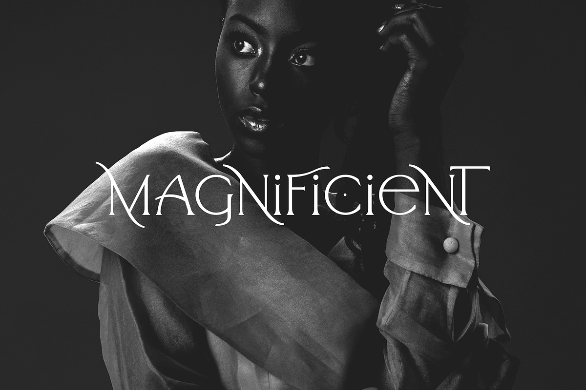 Arrogant Font, a Serif Font by Graphicdome (Photo 22 of 24)