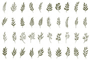 Hand drawn foliage, an Illustration by Wild Rose (Thumbnail 3 of 6)