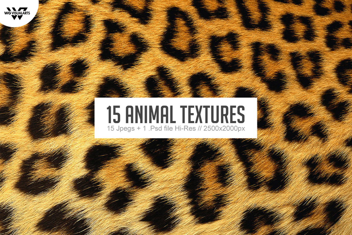 15 ANIMAL Textures, a Texture Graphic by WG DESIGN (Photo 1 of 5)