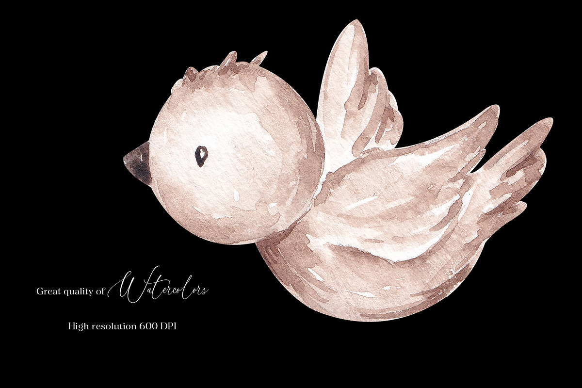 Woodland animals clip art, an Animal Illustration by SirenaArt (Photo 5 of 11)