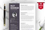 Resume/CV Bundle | 200+ for $29, a Resume Template by ResumeInventor (Thumbnail 103 of 207)