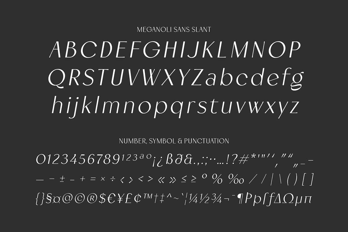 Meganoli - A Modern Font Duo, a Sans Serif Font by Ainun Jinan (Photo 12 of 13)