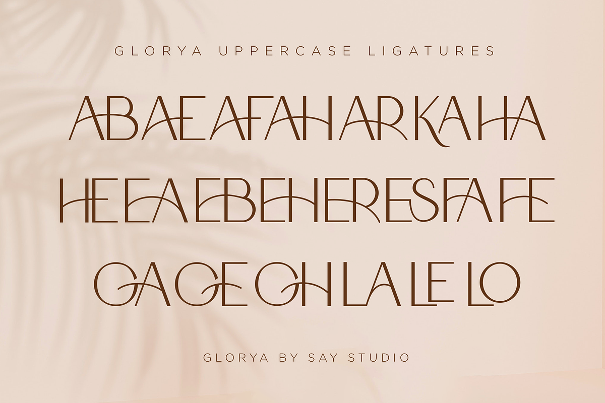 Glorya Modern Stylish, a Sans Serif Font by Say Studio (Photo 18 of 25)