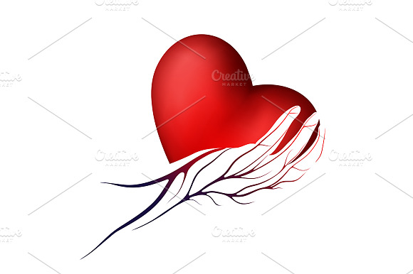 Red Heart In A Hand With Veins Icon