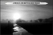 Ilford Films LUTs, a Plug-in Add-On by Raztrend (Thumbnail 23 of 30)