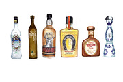Hand-drawn TEQUILA set, an Illustration by MumAndMe (Thumbnail 2 of 2)