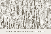 Tree Bark Textures, a Texture Graphic by GhostlyPixels (Thumbnail 2 of 9)