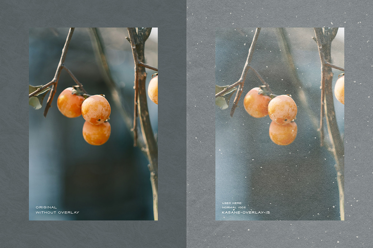 Kasane - Japanese Paper Overlays, a Texture Graphic by alonahaidash (Photo 15 of 22)