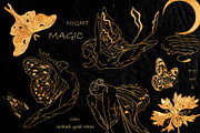 NIGHT MAGIC butterflies women flora, an Animal Illustration by ArtOLB (Thumbnail 1 of 14)