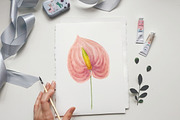 Watercolor set of tropical flowers, an Object Illustration by a_ptichkina (Thumbnail 8 of 8)