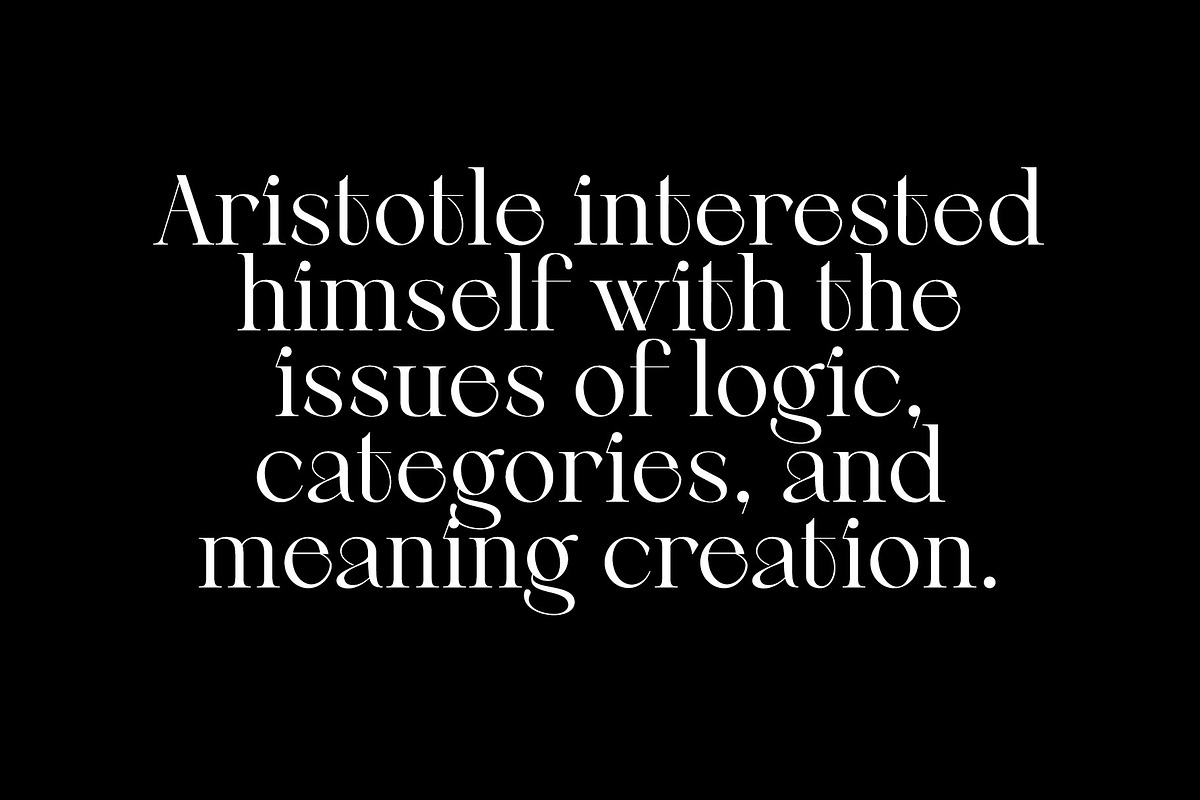 Berneray Serif Font Family, a Serif Font by Ryul Davidson (Photo 18 of 19)