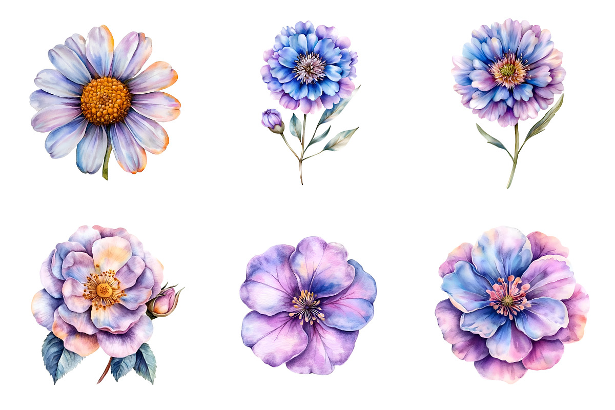 Watercolor Summer Wildflowers Png, an Illustration by SinaCreation (Photo 2 of 9)