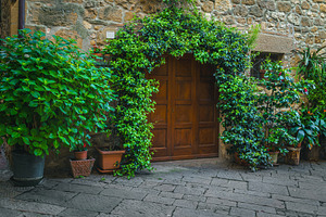 Cozy entrance decorated with plants, an Architecture Photo by Alpine Dreams
