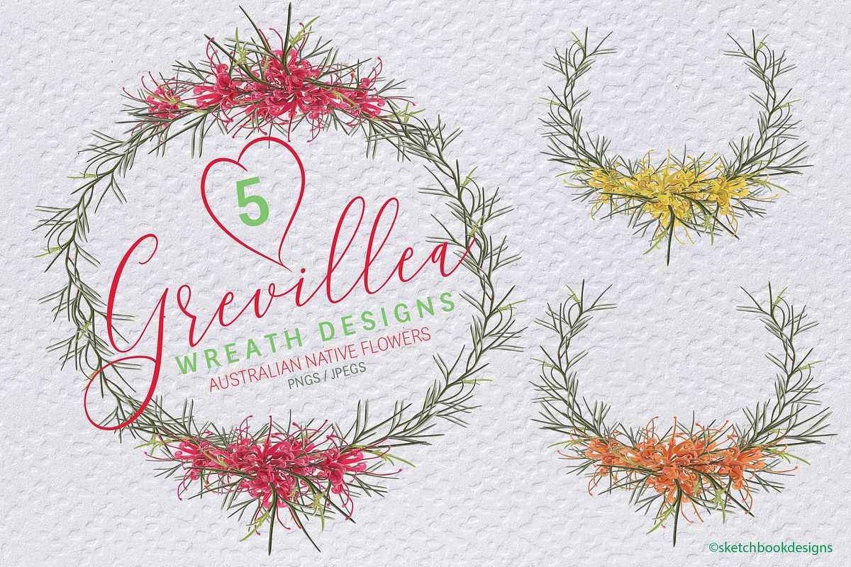 Grevillea Wreath Vector Mini Set, an Illustration by Sketchbook Designs (Photo 2 of 4)