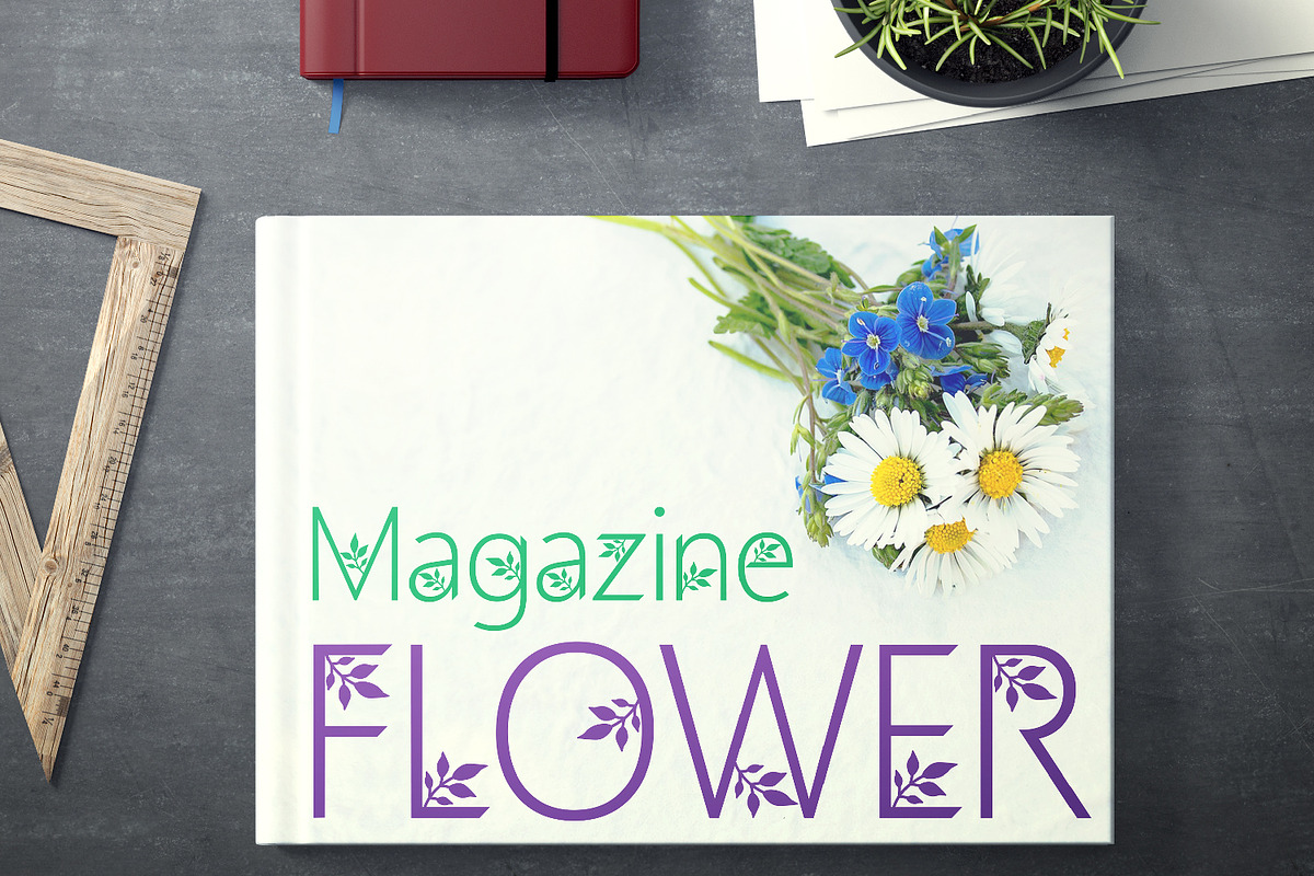 Geranium preview 3