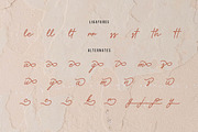 Methamory | Monoline Script Font, a Script Font by Denustudios (Thumbnail 13 of 15)