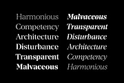 Manier – Sharp Serif Typeface, a Serif Font by Piotr Łapa (Thumbnail 12 of 15)