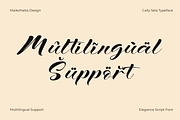 Cally Sela – Modern Calligraphy Font, a Script Font by MaikoHatta (Thumbnail 8 of 8)
