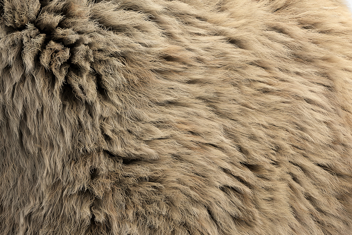 Collection of 38 fur pillows, an Object 3D Model by 3dmitruk (Photo 54 of 112)