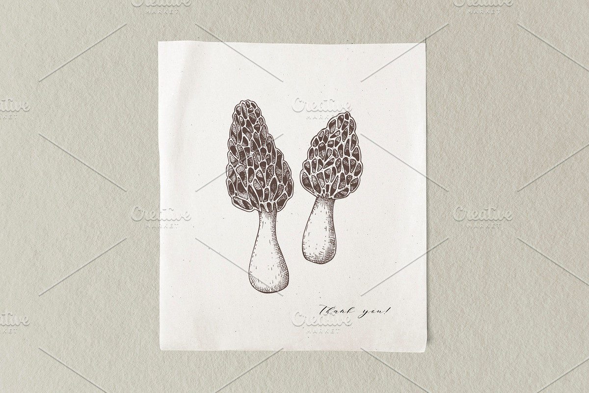 Vector Mushroom Sketches Set, a Seasonal Illustration by Yevheniia (Photo 7 of 7)