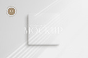 Canvas Mockups 1:1 Square, a Mockup by DESIGN BY nube (Thumbnail 9 of 11)