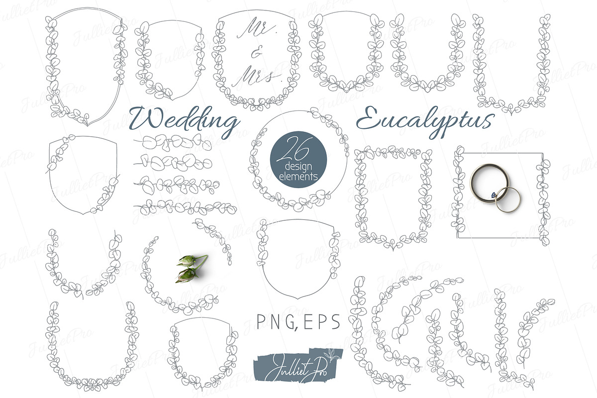 Eucalyptus Wedding design elements, a Decorative Illustration by JuDesign (Photo 1 of 6)