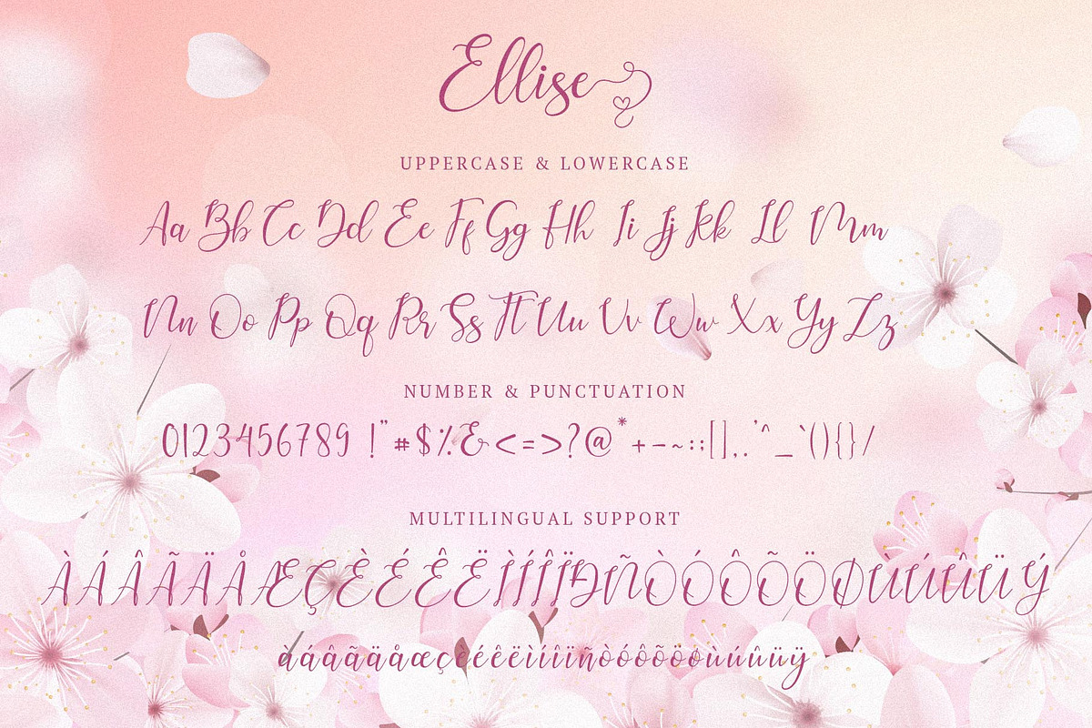 Ellise - Lovely Script Font preview 8