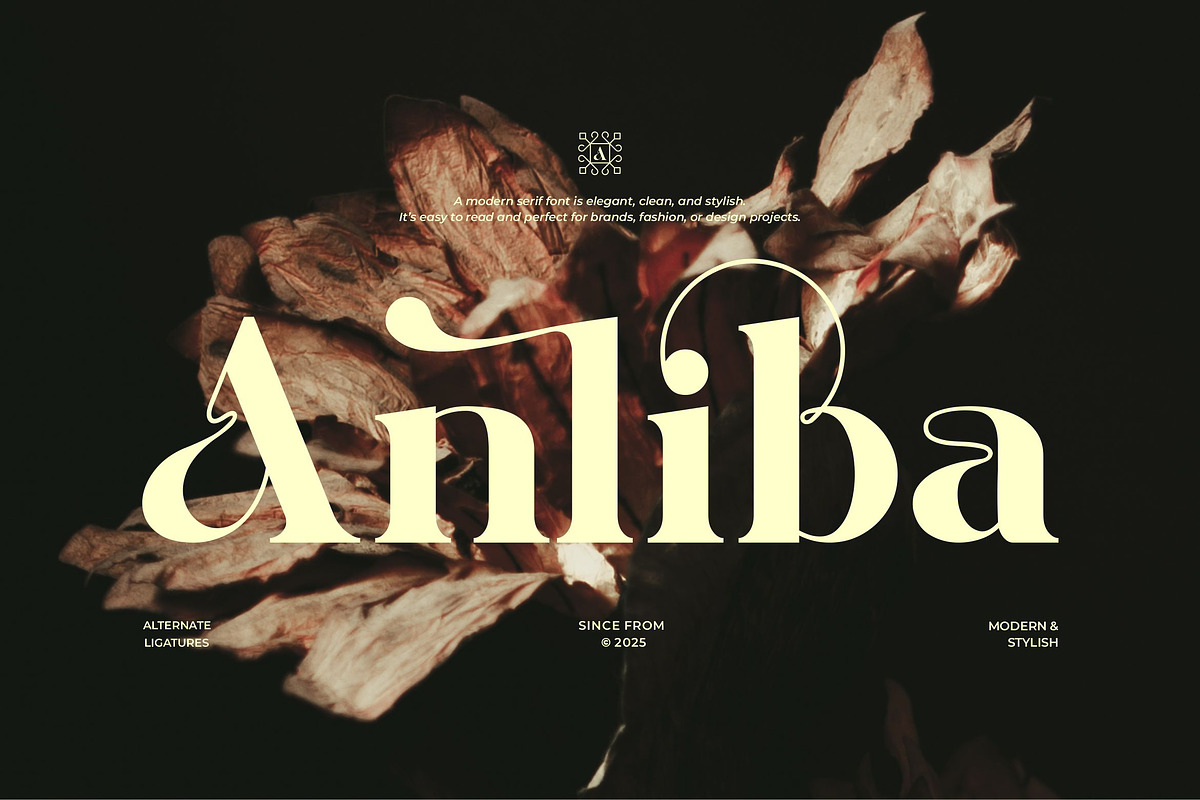 Anliba || Modern Classy Serif Font, a Serif Font by Ermedia Studio (Photo 1 of 10)
