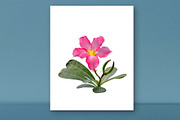 Pink Desert Rose Digital Print, a Nature Photo by VietArtworks (Thumbnail 1 of 6)