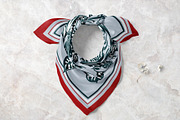 Crimson & Silver Botanical Scarf, an Object Graphic by ilustrinna (Thumbnail 4 of 9)