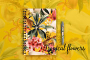 Seamless tropical patterns, a Pattern Graphic by ollalya (Thumbnail 16 of 17)