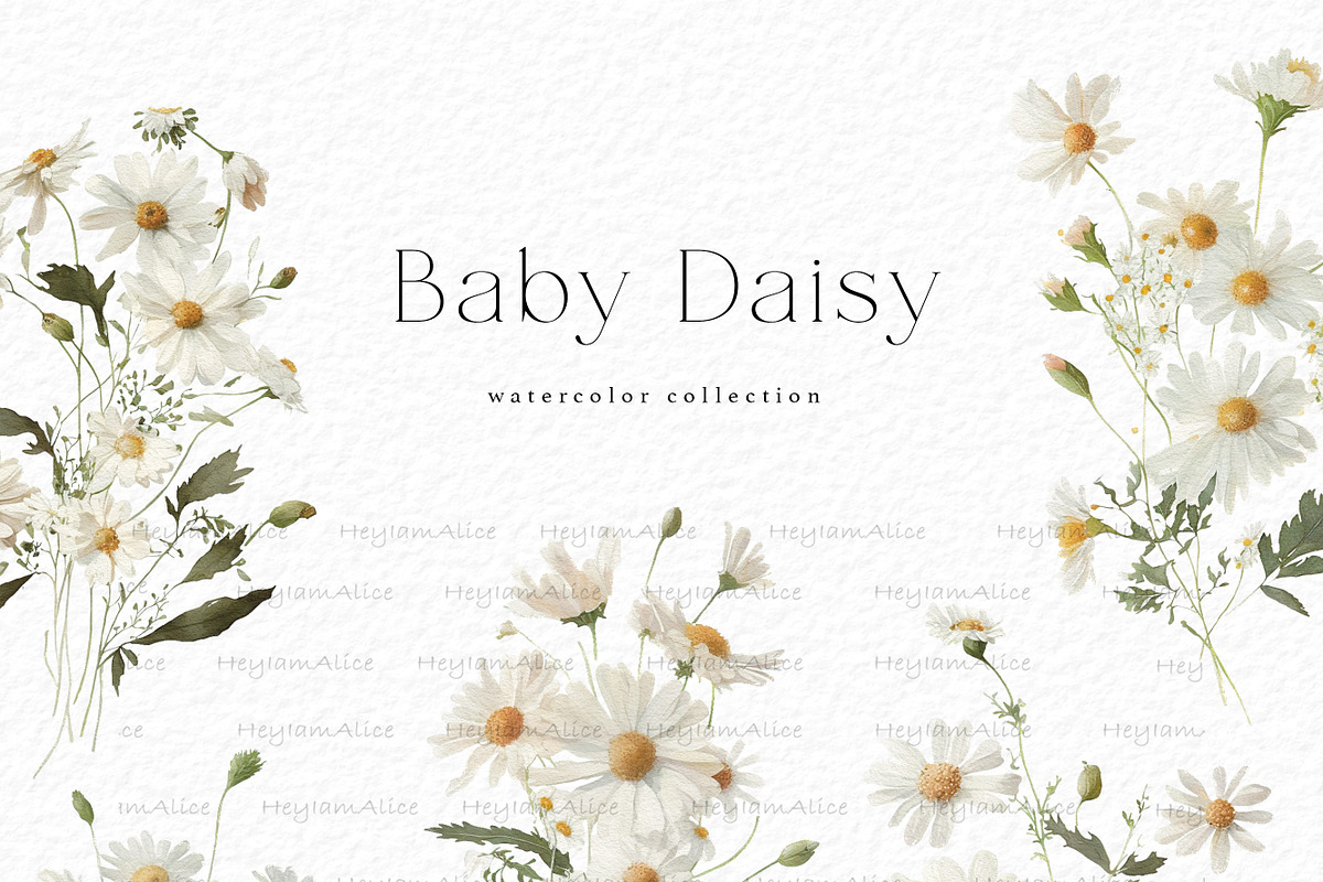 Baby Daisy Flower, a Decorative Illustration by heyiamalice (Photo 4 of 12)